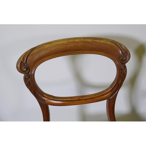 1088 - A pair of Victorian carved mahogany balloon back side chairs, raised on reeded tapering supports, an... 