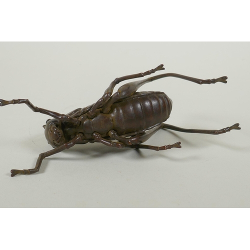 128 - A Japanese style bronze okimono grasshopper, 17cm long