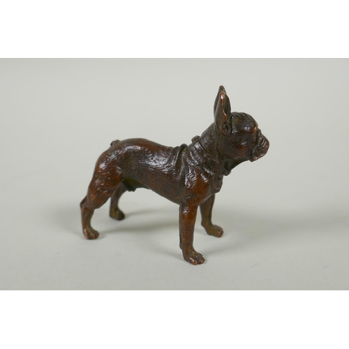 175 - A Japanese style bronze okimono French bulldog, 7cm long