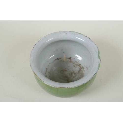 184 - A Chinese celadon crackle glazed porcelain bowl, 17cm diameter