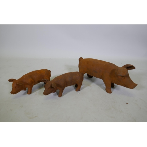 207 - A cast iron garden figure of a sow and two smaller piglets, largest 42cm