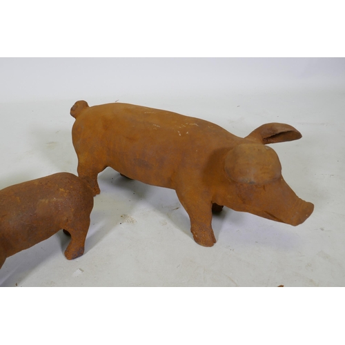 207 - A cast iron garden figure of a sow and two smaller piglets, largest 42cm