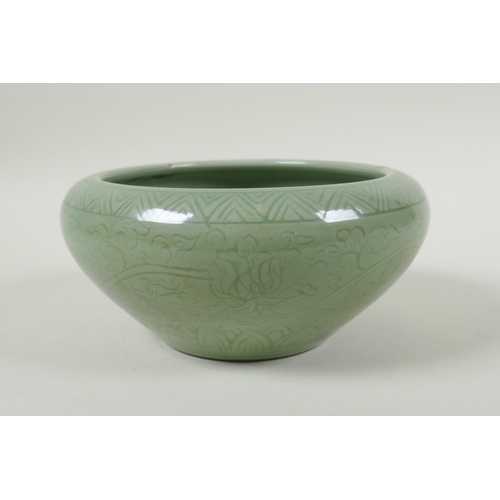 255 - A Chinese olive green glazed porcelain dish with incised scrolling floral decoration, 19cm diameter