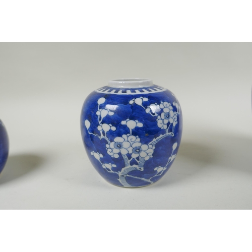 270 - Three Chinese blue and white porcelain graduated ginger jars, decorated with prunus blossom on a cra... 