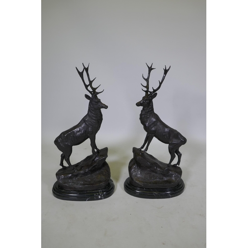 62 - After Jules Moigniez (French, 1835-1894), a pair of twelve point bronze stags, on marble bases, sign... 