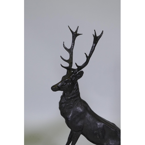 62 - After Jules Moigniez (French, 1835-1894), a pair of twelve point bronze stags, on marble bases, sign... 