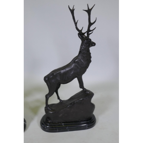 62 - After Jules Moigniez (French, 1835-1894), a pair of twelve point bronze stags, on marble bases, sign... 