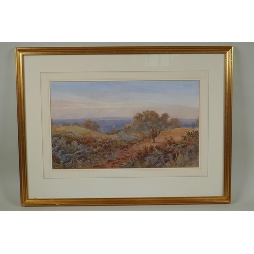 805 - George Howard, the 9th Earl of Carlisle, (British, 1843-1911), On Hampstead Heath, landscape with fi... 