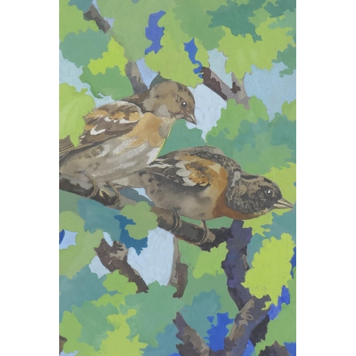 875 - Ivy Bailey, Sparrows, labelled verso, watercolour, 19 x 24cm