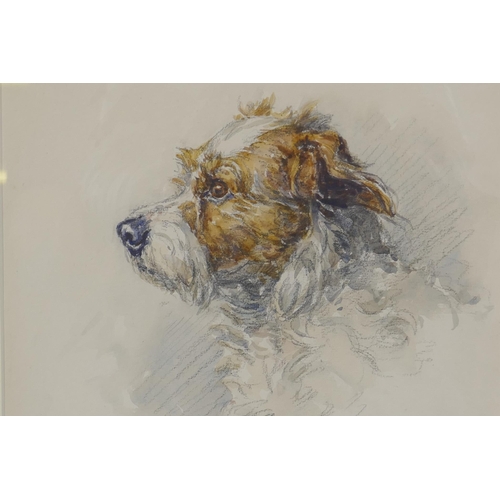 887 - Barbara Briggs, study of a terrier, pencil and wash, signed, 25 x 25cm