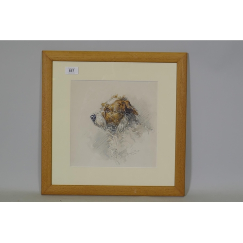 887 - Barbara Briggs, study of a terrier, pencil and wash, signed, 25 x 25cm