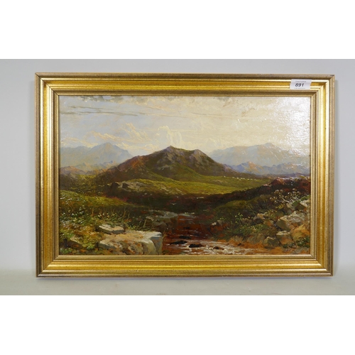 891 - Highland landscape with sheep, unsigned, late C19th/early C20th, oil on board, 48 x 30cm