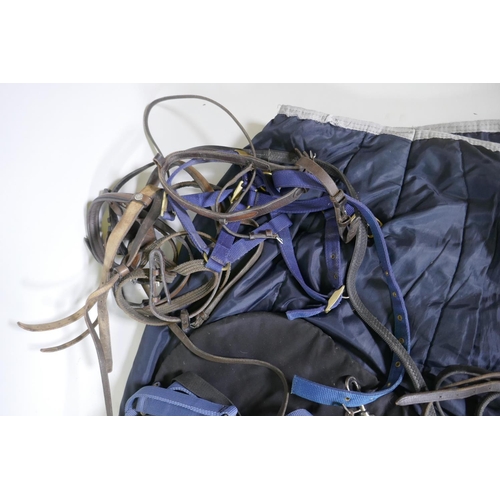 176 - A quantity of equestrian equipment including Amigo Horseware stable/under blanket, Equigel saddle pa... 