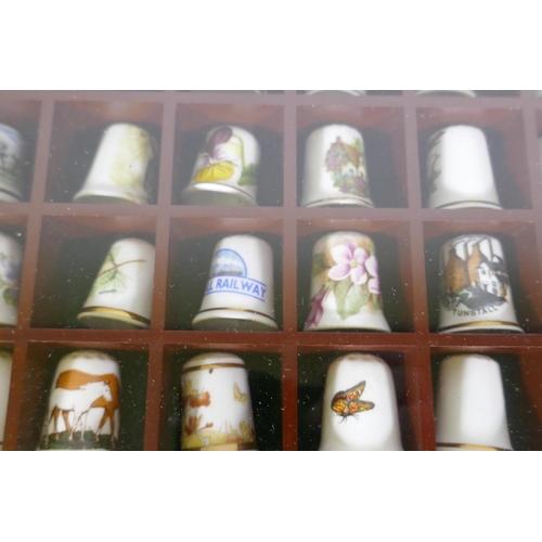 220 - A collection of 48 porcelain thimbles in a display case, 32 x 22 x 4cm