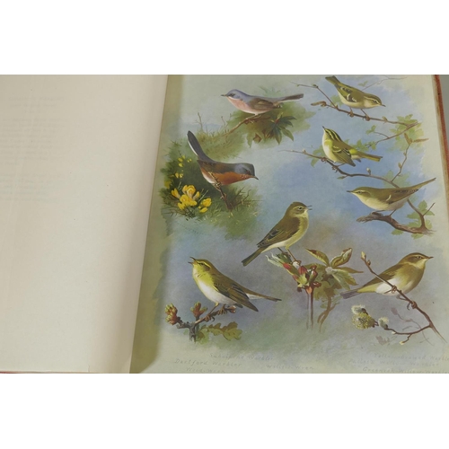 26 - Archibald Thornburn, British Birds, four volumes, fourth edition, 1918, published Longmans, Green &a... 