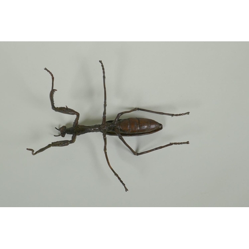 260 - A Japanese style bronze okimono of a mantis, with articulated limbs, 15cm long