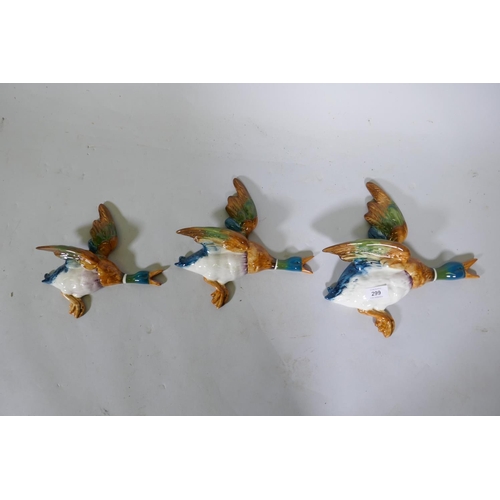 299 - A set of three Beswick graduated flying Mallard ducks, one AF, largest 29cm long