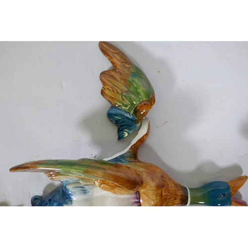 299 - A set of three Beswick graduated flying Mallard ducks, one AF, largest 29cm long