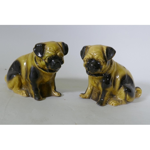 34 - A pair of vintage pottery pug dogs, 16cm high