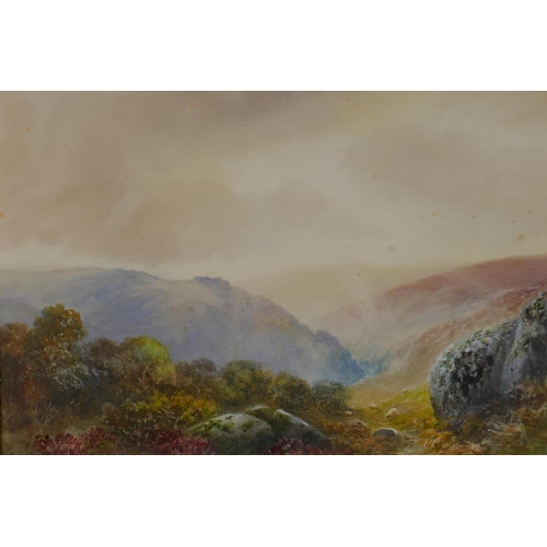 808 - W.H. Dyer, Dart Vale, Dartmoor, signed, inscribed on frame, watercolour and gouache, 32 x 45cm