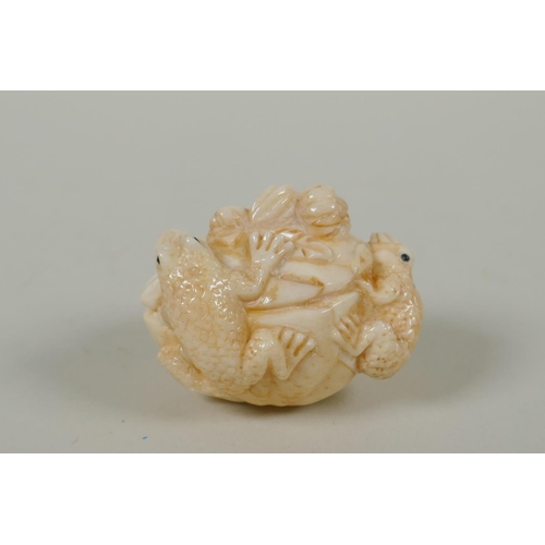 81 - A Japanese carved bone netsuke in the form of frogs and a snake, signed to base, 4.5cm wide