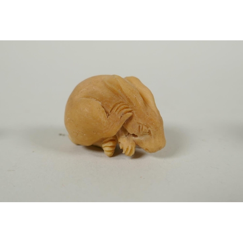 97 - Five Japanese carved tagua nut netsuke in the form of hares, a buffalo and a Buddha, largest 4cm