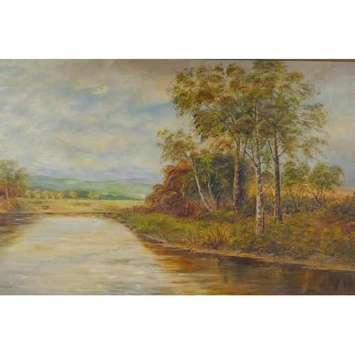 867 - A rural riverside landscape, late C19th/C20th, indistinctly signed, oil on canvas, 56 x 36