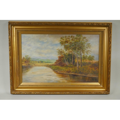 867 - A rural riverside landscape, late C19th/C20th, indistinctly signed, oil on canvas, 56 x 36