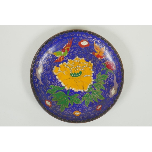 155 - A Chinese blue ground cloisonne dish decorated with birds and flowers, engraved bat and auspicious s... 