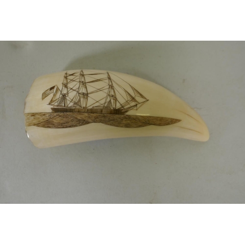 185 - A whale tooth scrimshaw depicting an American three masted whaling ship, inscribed R. Spring 72, 12c... 