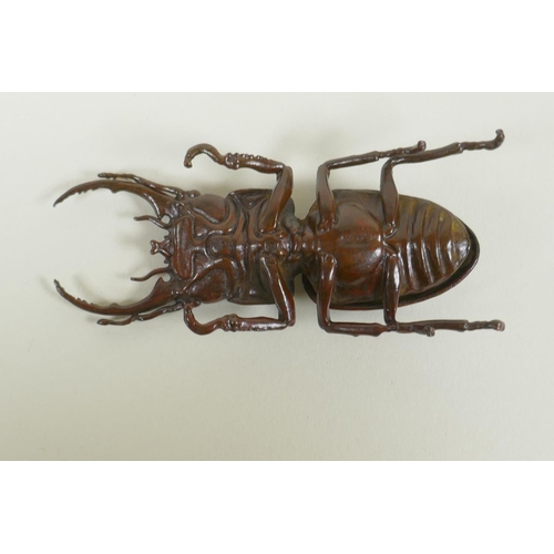 250 - A Japanese style bronze okimono stag beetle, 11cm long