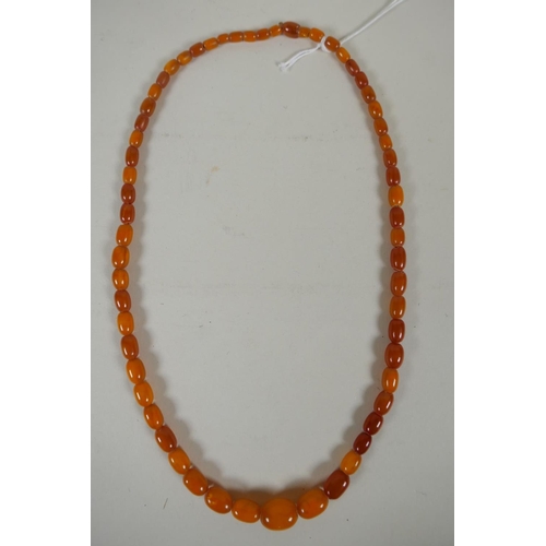 603 - A graduated butterscotch amber bead necklace, 56cm long, 21g