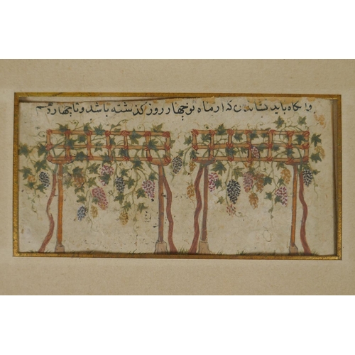 811 - An antique Islamic manuscript page with hand painted decoration of vines bearing fruit, housed in a ... 