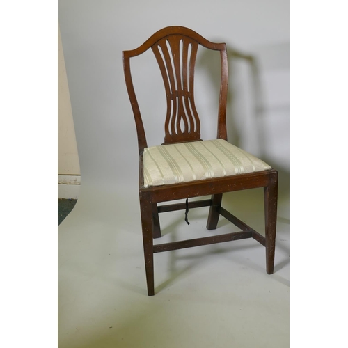 1123 - A pair of C19th Hepplewhite style side chairs with pierced splat backs and scroll arm elbow chair