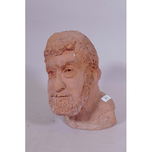 219 - A terracotta head bust of a bearded gentleman