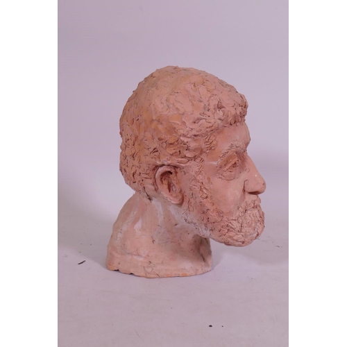 219 - A terracotta head bust of a bearded gentleman