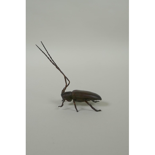 231 - A Japanese style bronze okimono long horn beetle, 10cm high