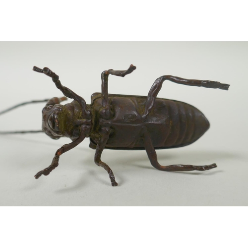 231 - A Japanese style bronze okimono long horn beetle, 10cm high