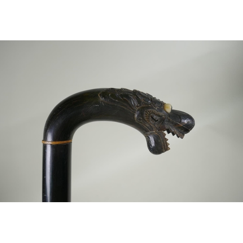 291 - An antique Chinese carved horn walking stick with dragon head handle, 86cm