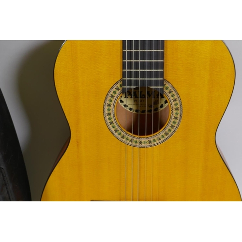 47 - A Palma PL50 Acoustic guitar with soft case