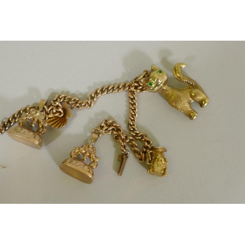 606 - A 9ct gold charm bracelet, with fobs, shell, toby and cat, 13.7g