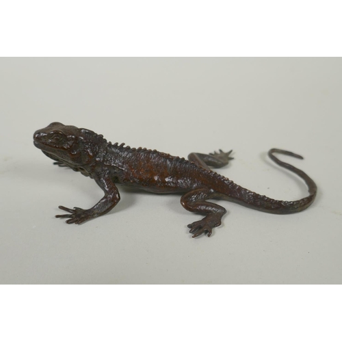 61 - A Japanese style bronze okimono lizard, 14cm long