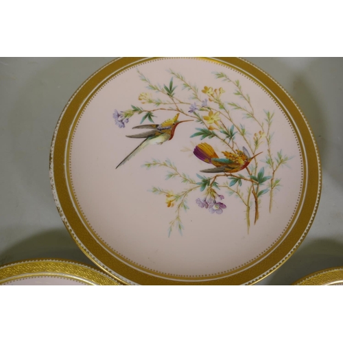 64 - A late C19th Derby porcelain part service, two tazza and three plates, with hand painted decoration ... 