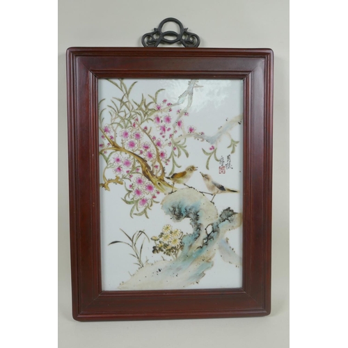 98 - A Chinese polychrome porcelain panel decorated with birds and blossom, in a hardwood frame, 33 x 45c... 