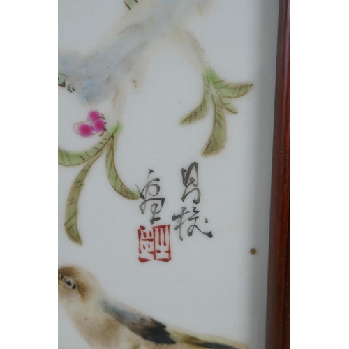 98 - A Chinese polychrome porcelain panel decorated with birds and blossom, in a hardwood frame, 33 x 45c... 