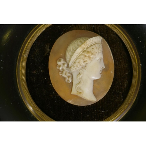 11 - An antique cameo of classical bust in profile, in an ebony and brass mounted frame, 11.5 x 10.5cm