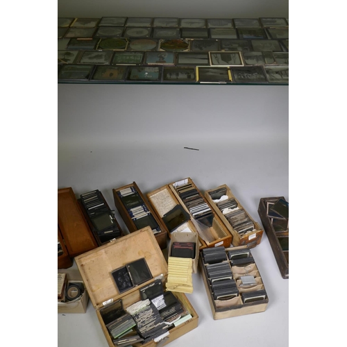 111 - Magic lantern slides, topographical, Jerusalem and Palestine, botanical studies, New York City by Un... 