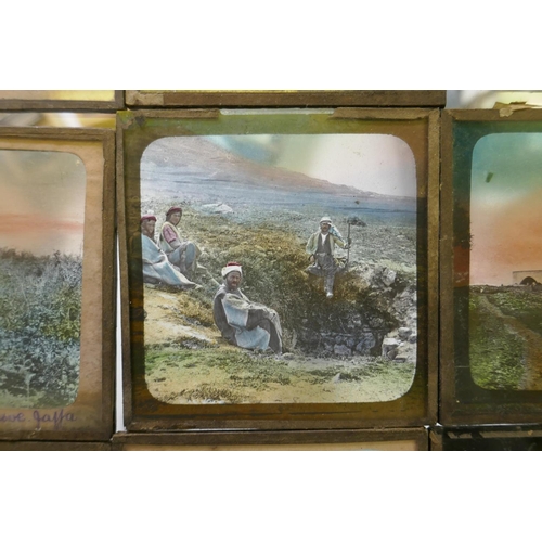 111 - Magic lantern slides, topographical, Jerusalem and Palestine, botanical studies, New York City by Un... 