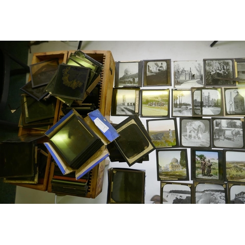 111 - Magic lantern slides, topographical, Jerusalem and Palestine, botanical studies, New York City by Un... 