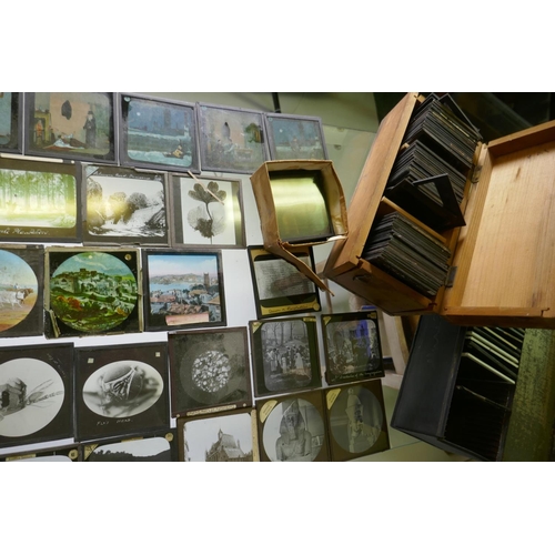 111 - Magic lantern slides, topographical, Jerusalem and Palestine, botanical studies, New York City by Un... 